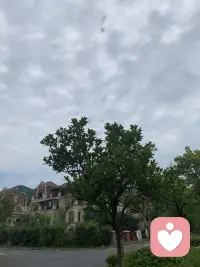拍不完的照，制作不完的視頻.....配圖