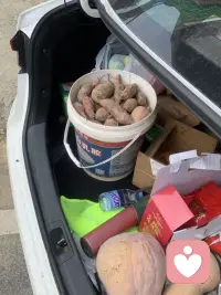 倆點上班，外婆一個電話，從灣里開到鄉(xiāng)下就為了拿紅薯??，本來四十分鐘的路程硬是開成了二十分鐘一路狂奔配圖