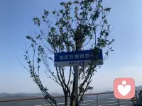 開心的一天配圖