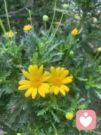 快樂的旅途配圖