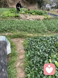 還得是外婆，一個電話上班的人立馬跑來帶她回鄉下配圖