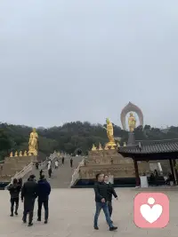 愿所愿皆所求配图