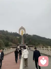 愿所愿皆所求配图