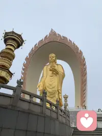 愿所愿皆所求配图