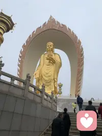 愿所愿皆所求配图