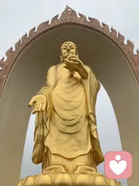 愿所愿皆所求配图