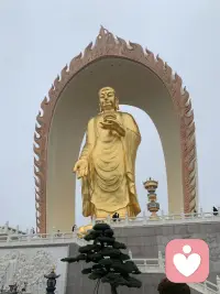 愿所愿皆所求配图