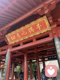 愿所愿皆所求配图