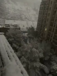 南昌終于下雪了??，這幾天抖音瘋狂說要下雪還不相信，一覺醒來白茫茫配圖