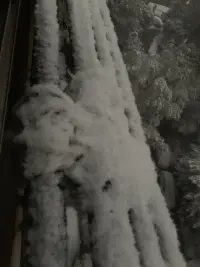 南昌終于下雪了??，這幾天抖音瘋狂說要下雪還不相信，一覺醒來白茫茫配圖