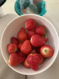 老媽回來才感覺有點年味了，大包小包的零食，自己買在多都懶得吃，有股回到小時候只要家里有年貨就想吃的感覺配圖