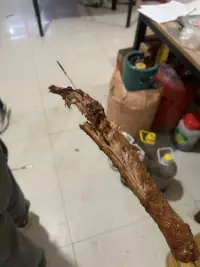 老弟負(fù)責(zé)烤我負(fù)責(zé)吃，老丈人開燒烤的就是好配圖
