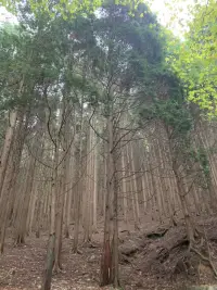 我是個很不理智的醋壇子， 想穿越人山人海去你的城市擁抱你， 想承包你所有的喜歡占有你的微笑。配圖