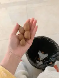 解膩神器配圖
