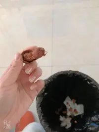 解膩神器配圖
