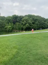 真是愛了我這個地區，不愧是主打旅游景點區配圖