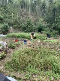 外婆一句回鄉(xiāng)下，我屁顛屁顛開車送，永遠(yuǎn)都是隨叫隨到，外婆的小跟班配圖