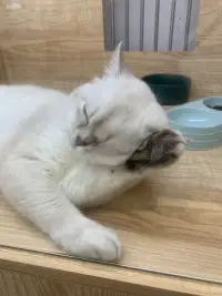 和帥哥出來玩的一天，拉著陪我走了倆個小時，腿要斷配圖