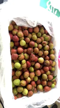 夏天的滋味配圖