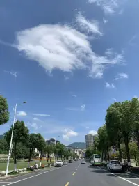 大美灣里！配圖