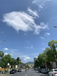 大美灣里！配圖