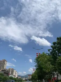 大美灣里！配圖