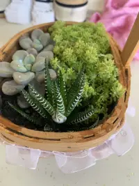 一個(gè)人的好運(yùn)從哪里來(lái)？會(huì)微笑的眼睛，不聽是非的耳朵，不講負(fù)能量的嘴，還有我們那顆永遠(yuǎn)善良的心....配圖