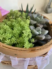 一個(gè)人的好運(yùn)從哪里來(lái)？會(huì)微笑的眼睛，不聽是非的耳朵，不講負(fù)能量的嘴，還有我們那顆永遠(yuǎn)善良的心....配圖