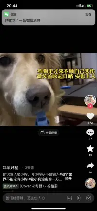 希望在你失去表達欲的時候，能有人溫柔的接住你的疲憊.”真心很貴、別逢人就給配圖