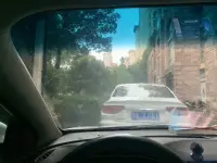 下到死的雨....配圖