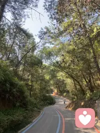 真的絕絕子配圖