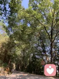 就喜歡這種環境配圖