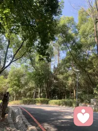 就喜歡這種環境配圖