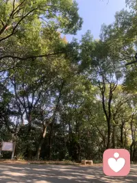 就喜歡這種環境配圖