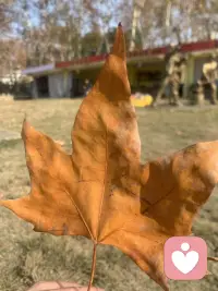 超爱这种环境，很治愈心情....配图