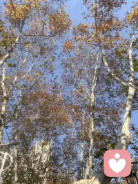 超爱这种环境，很治愈心情....配图