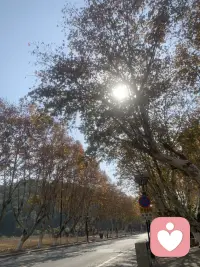 超爱这种环境，很治愈心情....配图