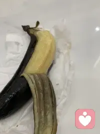 万物皆可烤配图