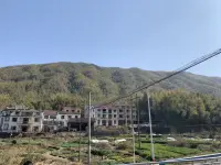 炫砂糖橘配圖