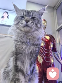 我生命中所有最糟糕的时候，都是我独自一人度过的，所以去爱人或者被爱，对我来说都毫无意义配图