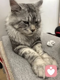 不开心🙁🙁配图