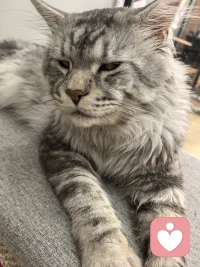 永远真诚纯粹热烈且敢爱敢恨 不懂的珍惜我的是那个人没福气罢了配图