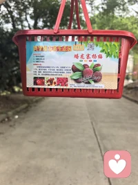 采摘的快乐配图