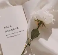 無需在一段自己無法掌控的關系迷失自己。那些無能為力的事和人，不過是生命長河里一朵轉瞬即逝的浪花。學會放下，時間自會帶我們獲得新的力量。配圖