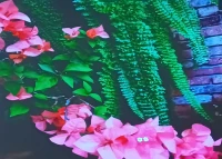 所見即所得。你看到的就是你想要的！我是一切的根源。配圖