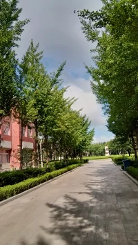21年，當年的小水杉已經長成郁郁蔥蔥的大水杉樹，這些美好的時光，串起來，織成一幀幀最美的風景。配圖