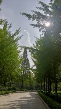 21年，當年的小水杉已經長成郁郁蔥蔥的大水杉樹，這些美好的時光，串起來，織成一幀幀最美的風景。配圖