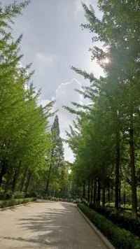 21年，當年的小水杉已經長成郁郁蔥蔥的大水杉樹，這些美好的時光，串起來，織成一幀幀最美的風景。配圖
