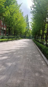 21年，當年的小水杉已經長成郁郁蔥蔥的大水杉樹，這些美好的時光，串起來，織成一幀幀最美的風景。配圖