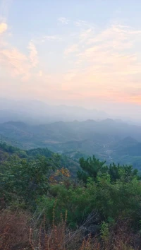 早安[太陽]
清喜于時光，安穩于日常，
不慌不忙，一程自有一程的芬芳。配圖